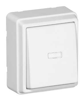 Poussoir à Bascule Lumineux